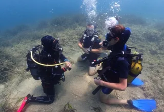 Diving kaleici