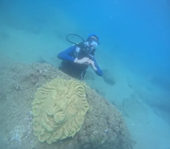 antalya dalış diving kaleici