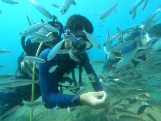 antalya dalış diving kaleici